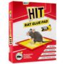 HIT RAT GLUE PAD 1 PCS