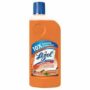 LIZOL DFC SANDAL CLEANER 500 ML